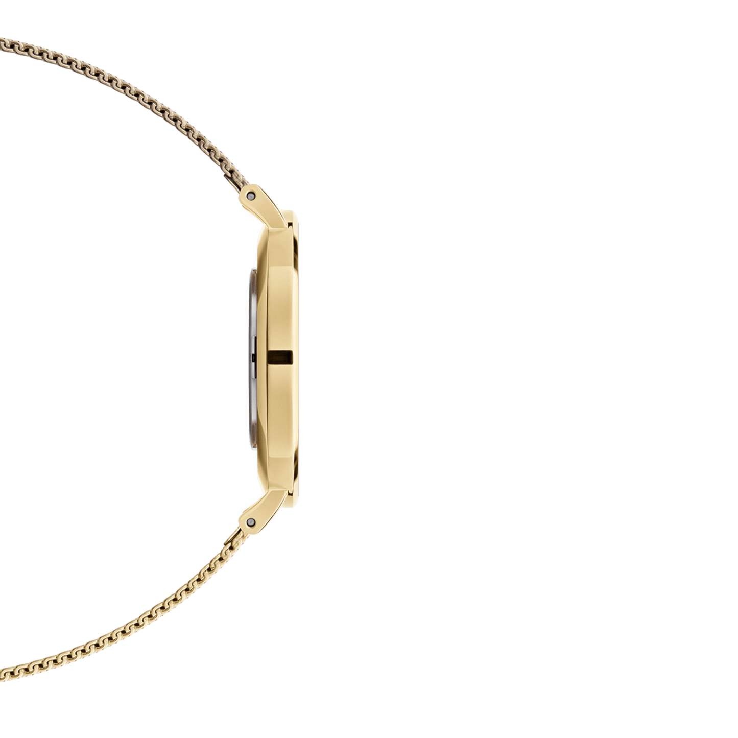 DW Petite Evergold Black Watch