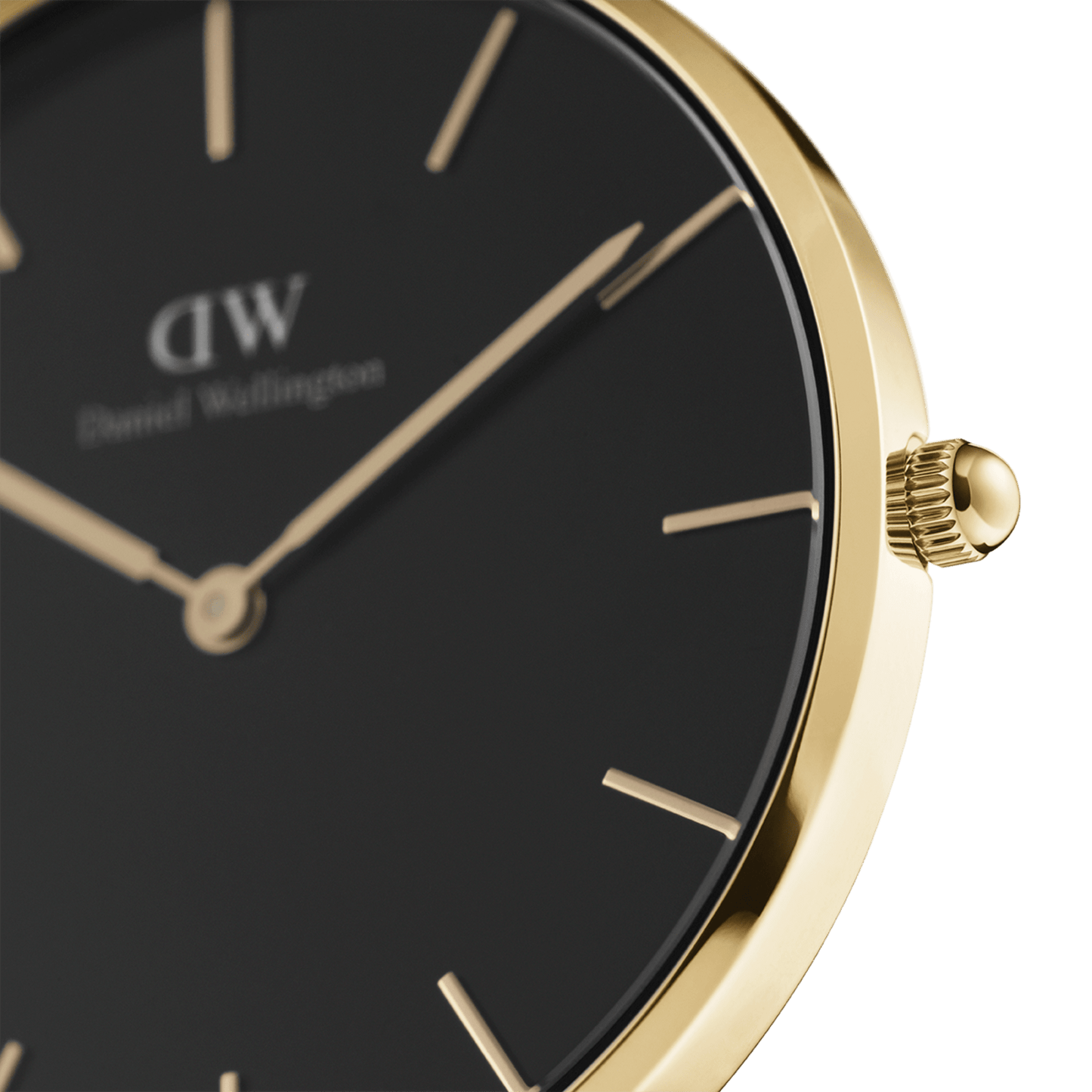 DW Petite Evergold Black Watch