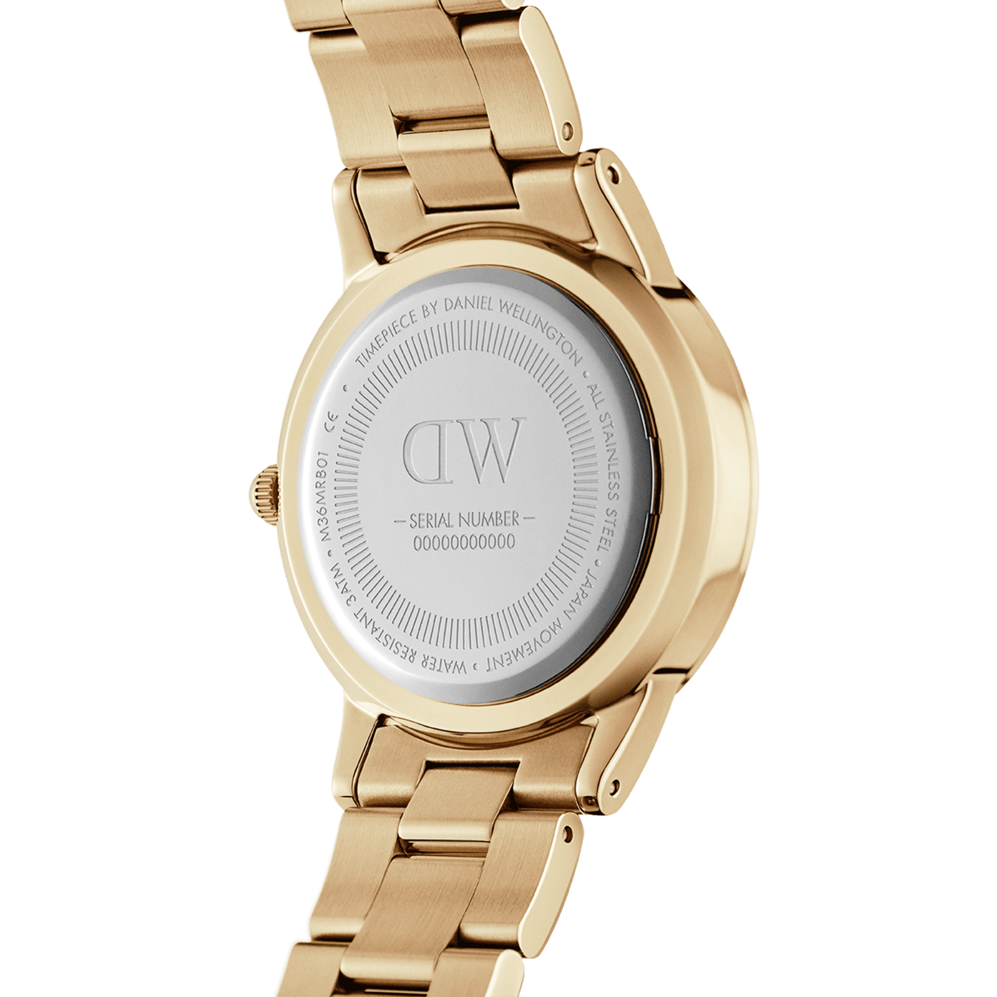 DW Iconic Link Unitone G Watch