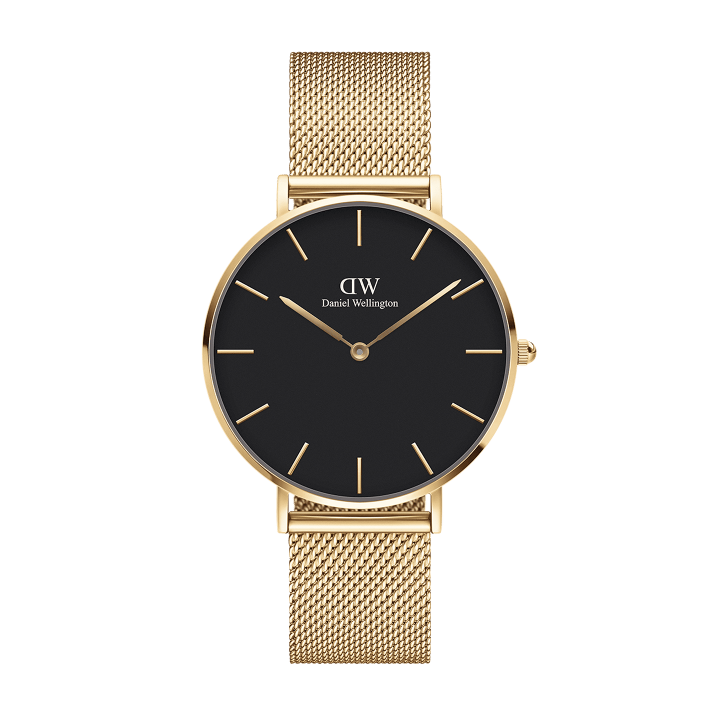 DW Petite Evergold Black Watch